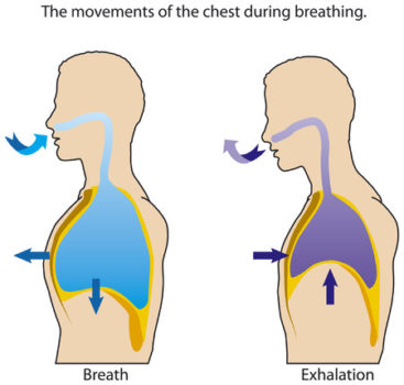 呼吸と姿勢 版権:  / 123RF 写真素材